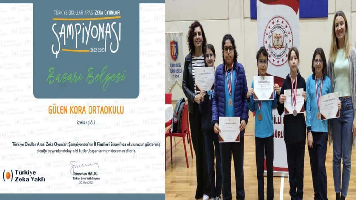 Türkiye Okullar Arası Zeka Oyunları Şampiyonası  İl Finalleri